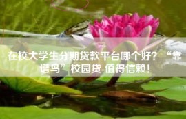 在校大学生分期贷款平台哪个好？“靠谱鸟”校园贷-值得信赖！
