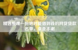 精选整理一份绝对能借到钱的网贷贷款名单，拿走不谢