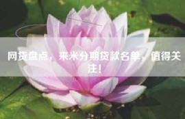 网贷盘点，来米分期贷款名单，值得关注！