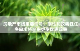 房地产市场重要信号！刚性和改善性住房需求将迎来更多优惠政策