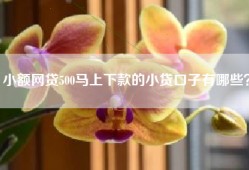 小额网贷500马上下款的小贷口子有哪些？