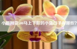 小额网贷500马上下款的小贷口子有哪些？