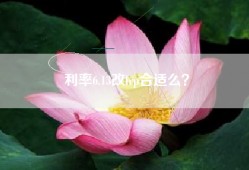 利率6.13改lrp合适么？