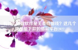 有什么借款软件是无条件借钱？这几个就是能下款的借款平台2022