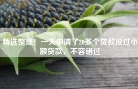 精选整理！一天申请了20多个贷款没过小额贷款，不容错过