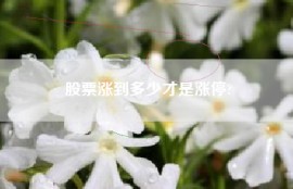 股票涨到多少才是涨停?