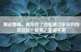 精选整理，被风控了也能通过审核的网贷贷款一览表，拿走不谢