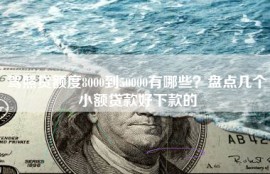 驾照贷额度8000到50000有哪些？盘点几个小额贷款好下款的