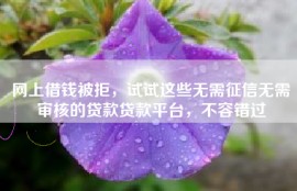 网上借钱被拒，试试这些无需征信无需审核的贷款贷款平台，不容错过