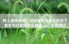 网上借钱被拒，试试这些征信不好名下有车可以做贷款么网贷app，不容错过