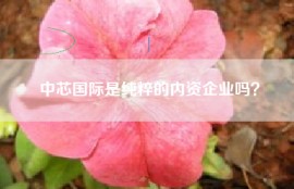 中芯国际是纯粹的内资企业吗？