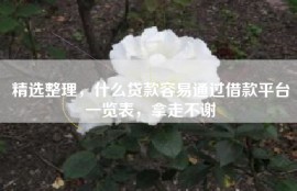 精选整理，什么贷款容易通过借款平台一览表，拿走不谢