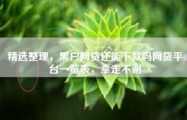 精选整理，黑户网贷还能下款吗网贷平台一览表，拿走不谢