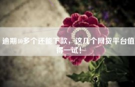 逾期40多个还能下款，这几个网贷平台值得一试！