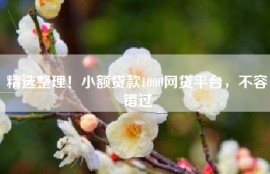 精选整理！小额贷款1000网贷平台，不容错过