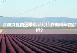 微粒贷提前还清后，可以立刻继续贷款吗？