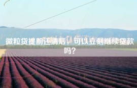 微粒贷提前还清后，可以立刻继续贷款吗？
