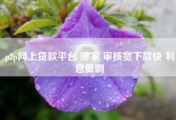 p2p网上贷款平台 哪家 审核宽下款快 利息低啊