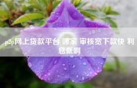 p2p网上贷款平台 哪家 审核宽下款快 利息低啊