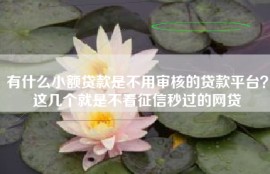 有什么小额贷款是不用审核的贷款平台？这几个就是不看征信秒过的网贷