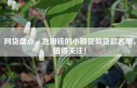 网贷盘点，急用钱的小额贷款贷款名单，值得关注！