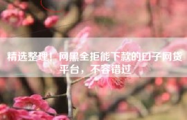 精选整理！网黑全拒能下款的口子网贷平台，不容错过