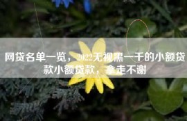 网贷名单一览，2022无视黑一千的小额贷款小额贷款，拿走不谢