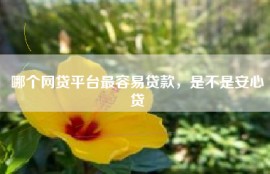 哪个网贷平台最容易贷款，是不是安心贷