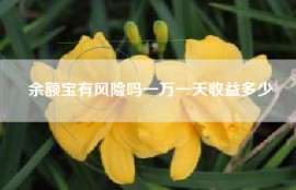 余额宝有风险吗一万一天收益多少