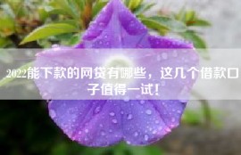2022能下款的网贷有哪些，这几个借款口子值得一试！