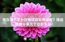 现在哪个平台好借钱贷款有哪些？精选整理分享几个贷款平台