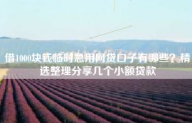 借1000块钱临时急用网贷口子有哪些？精选整理分享几个小额贷款