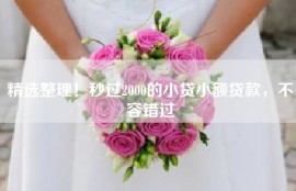 精选整理！秒过2000的小贷小额贷款，不容错过