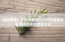 精选整理！千万不能错过的网贷逾期还能借钱的平台借款平台