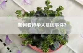 如何看待华大基因事件？