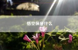 悟空保是什么