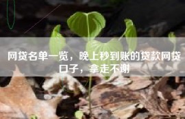 网贷名单一览，晚上秒到账的贷款网贷口子，拿走不谢