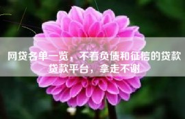 网贷名单一览，不看负债和征信的贷款贷款平台，拿走不谢