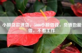 小额贷款速贷，5000小额借钱，负债也能借，不看工作
