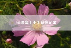 360借条上不上征信记录