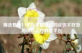 精选整理！千万不能错过的征信不好急用钱怎么办网贷平台