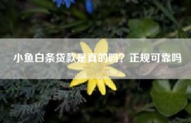 小鱼白条贷款是真的吗？正规可靠吗