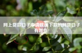 网上贷款口子申请就能下款的网贷口子有哪些?