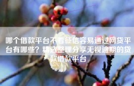 哪个借款平台不看征信容易通过网贷平台有哪些？精选整理分享无视逾期的贷款借款平台