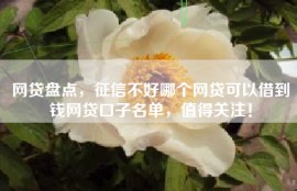 网贷盘点，征信不好哪个网贷可以借到钱网贷口子名单，值得关注！
