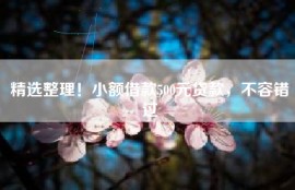 精选整理！小额借款500元贷款，不容错过
