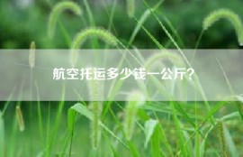 航空托运多少钱一公斤？