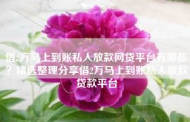 借2万马上到账私人放款网贷平台有哪些？精选整理分享借2万马上到账私人放款贷款平台