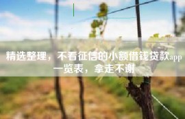 精选整理，不看征信的小额借钱贷款app一览表，拿走不谢