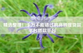 精选整理！千万不能错过的高额度贷款平台借款平台